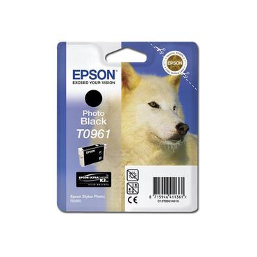 Epson T0961