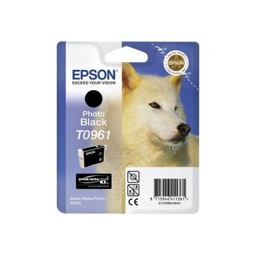 Epson T0961