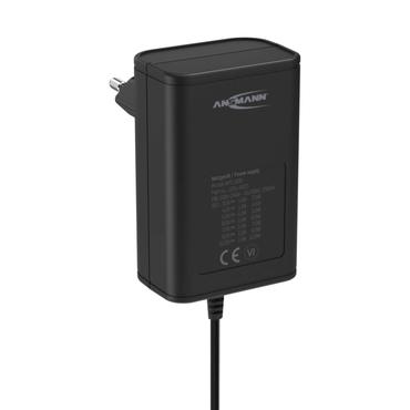 ANSMANN APS 1000 n&auml;taggregat - 12 Watt