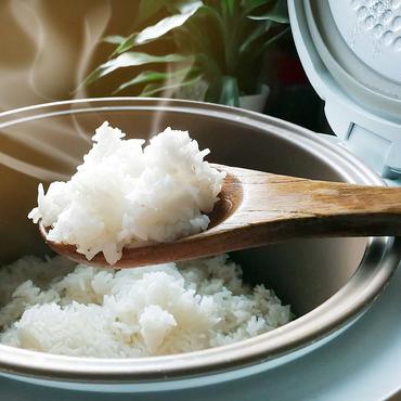 Gastroback Design Rice Cooker Pro - riskokare