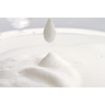 Philips CA6500 Milk Twister - mælkeskummer - sort