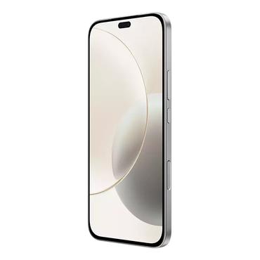 Honor 400 Lite 17 cm (6.7") Dual SIM MagicOS 9.0 5G USB Type-C 8 GB 256 GB 5230 mAh Grå