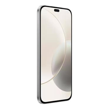 Honor 400 Lite 17 cm (6.7") Dual SIM MagicOS 9.0 5G USB Type-C 8 GB 256 GB 5230 mAh Grå