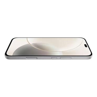 Honor 400 Lite 17 cm (6.7") Dual SIM MagicOS 9.0 5G USB Type-C 8 GB 256 GB 5230 mAh Grå