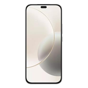 Honor 400 Lite 17 cm (6.7") Dual SIM MagicOS 9.0 5G USB Type-C 8 GB 256 GB 5230 mAh Grå