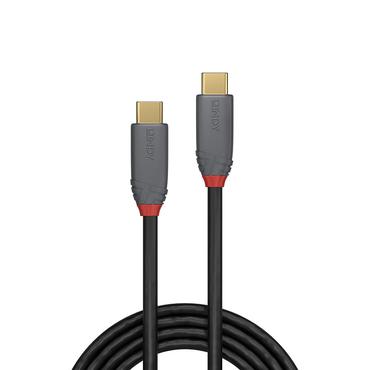 Lindy Anthra Line - USB typ C-kabel - 24 pin USB-C till 24 pin USB-C - 1 m