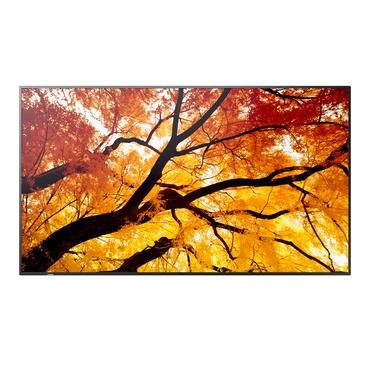 Sharp MultiSync M502 Digital fladpaneldisplay 127 cm (50") LCD 550 cd/m&sup2; 4K Ultra HD Sort 24/7