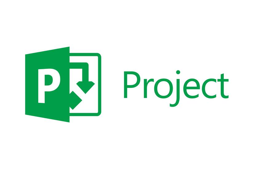 Microsoft Project Online Premium - opgraderingslicens - 1 bruger
