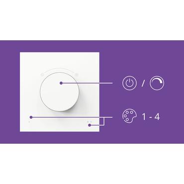 WiZ Smart Dial Switch