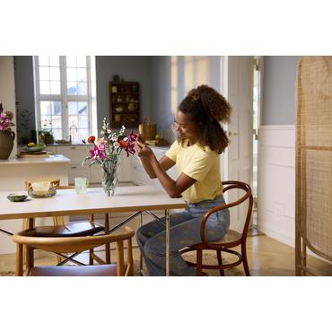 LEGO Botanicals Sch&Atilde;&para;ner Rosafarbener Blumenstrau&Atilde; 10342