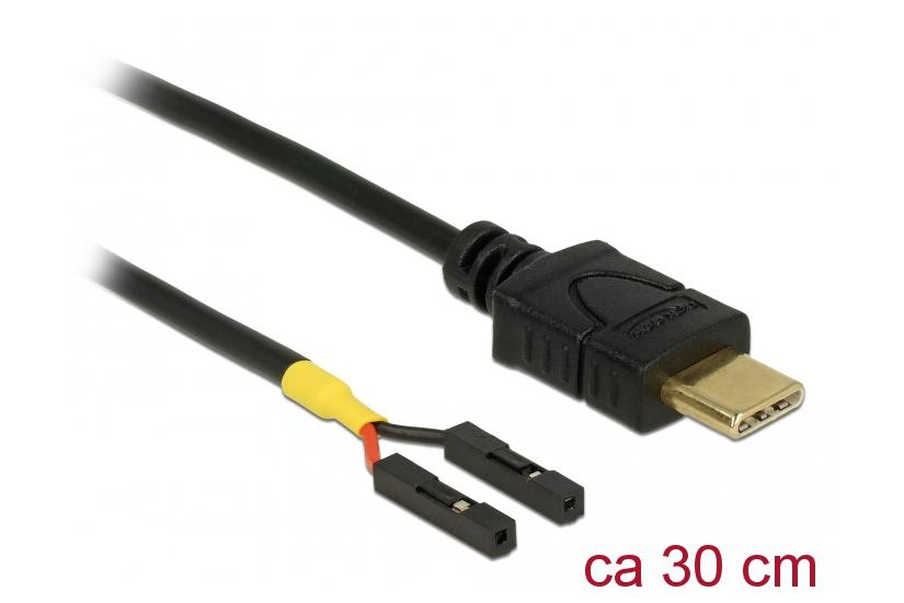 Delock - USB Type-C-kabel - 24-stifts USB-C till 2-stifts USB-samlestycke - 30 cm