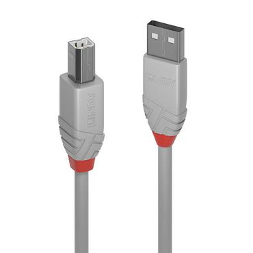 Lindy 36681 USB-kabel USB 2.0 0,5 m USB A USB B Grå