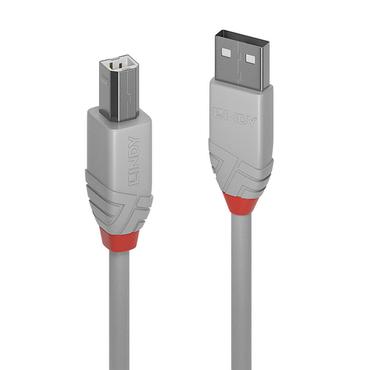 Lindy 36681 USB-kabel USB 2.0 0,5 m USB A USB B Grå