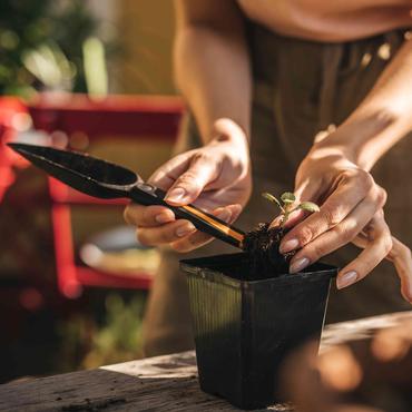 Fiskars 1057641 skovl & spartel Haveplanteske Sort, Brun