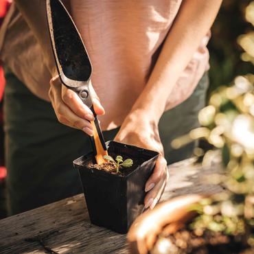 Fiskars 1057641 skovl & spartel Haveplanteske Sort, Brun