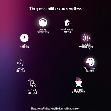 Turaco Hue pedestal anthracite 1xA60 WCA