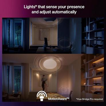 Turaco Hue pedestal anthracite 1xA60 WCA