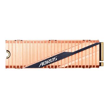AORUS - 1000GB