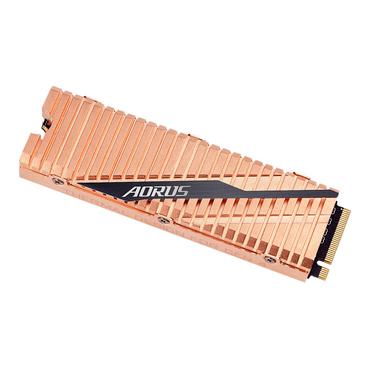 AORUS - 1000GB