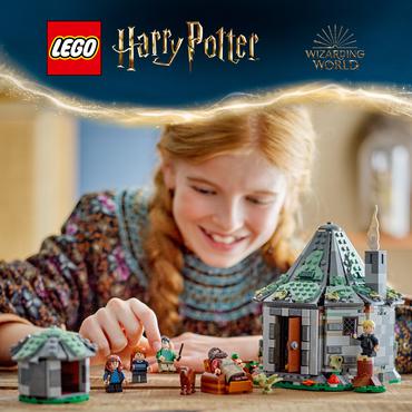 LEGO 76428 Harry Potter Hagrid's Hut: An Unexpected Visit