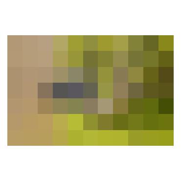 Gardena RollUp XL - slanglåda med slang - 35 m