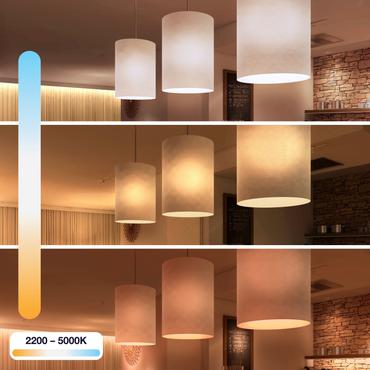 Innr Smart Comfort - LED-lyspære - form: stearinlys - E14 - 5.8 W - køligt dagslys/varmt hvidt lys - 2200-5000 K (pakke med 2)