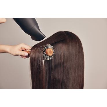 ELECTRIC HAIR DRYER (AC