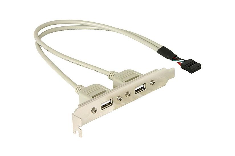 Delock - USB-panel - 10-stifts USB-&ouml;verdel till USB - 30 cm