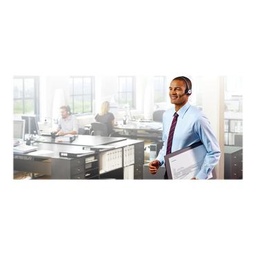 Jabra PRO 930 Mono MS