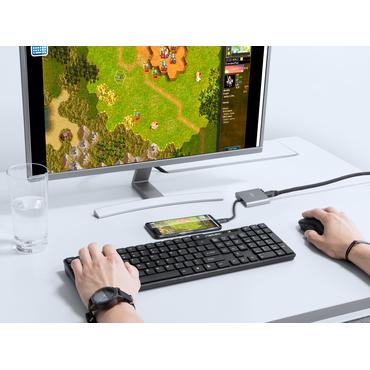 NATEC Fowler Mini USB 2.0 Type-C Grå