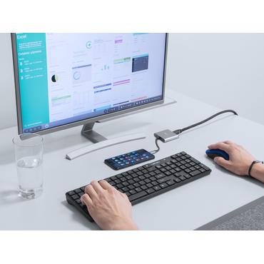 NATEC Fowler Mini USB 2.0 Type-C Grå