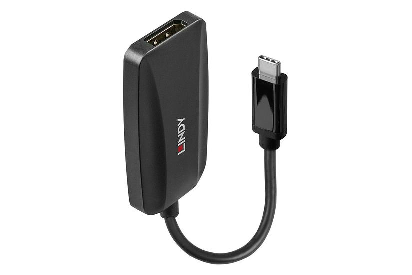 Lindy 43337 videokabel adapter 0,13 m USB Type-C DisplayPort Sort