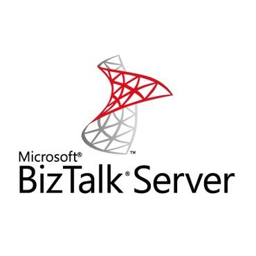 Microsoft BizTalk Server 2016 Enterprise - licens - 2 kerner