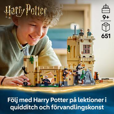 LEGO Harry Potter 76447 Zamek Hogwart: lekcja latania na miotle