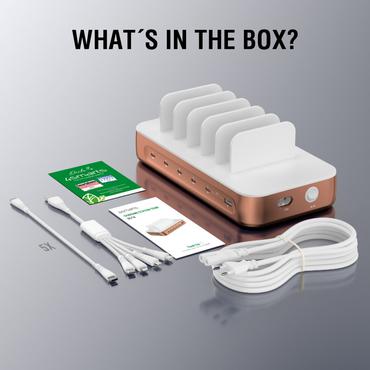 4smarts 541280 oplader til mobil enhed Universel Kobberfarve, Hvid Vekselstr&oslash;m Hurtig opladning Indend&oslash;rs