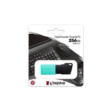 Kingston DataTraveler Exodia M - USB flashdrive - 256 GB