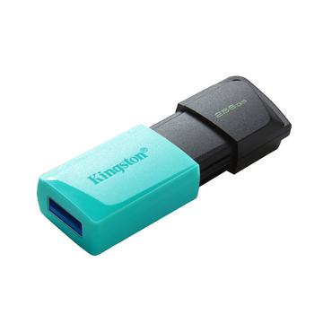 Kingston DataTraveler Exodia M - USB flashdrive - 256 GB
