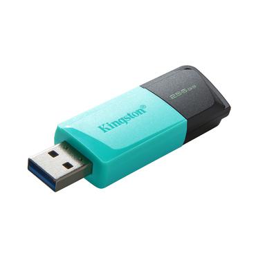 Kingston DataTraveler Exodia M - USB flashdrive - 256 GB