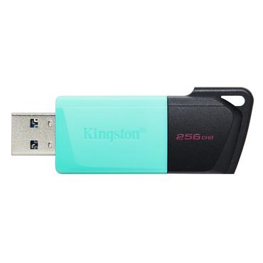 Kingston DataTraveler Exodia M - USB flashdrive - 256 GB