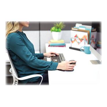 Fellowes Penguin Large