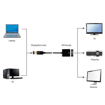 Gembird - videoadapter - DisplayPort till DVI-I - 10 cm
