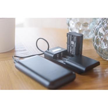 Ansmann Powerline Vario X batterioplader USB