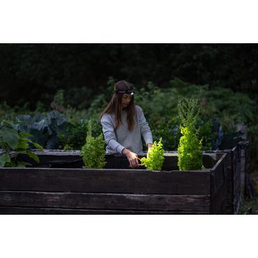 Ledlenser H5R Core Sort Hovedb&aring;nd lommelygte LED