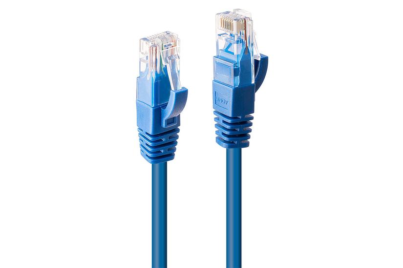 Lindy 48016 netværkskabel Blå 0,5 m Cat6 U/UTP (UTP)