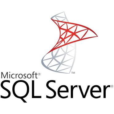 Microsoft SQL Server 2016 Standard - licens - 1 server