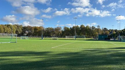 En grön plan under blå himmel