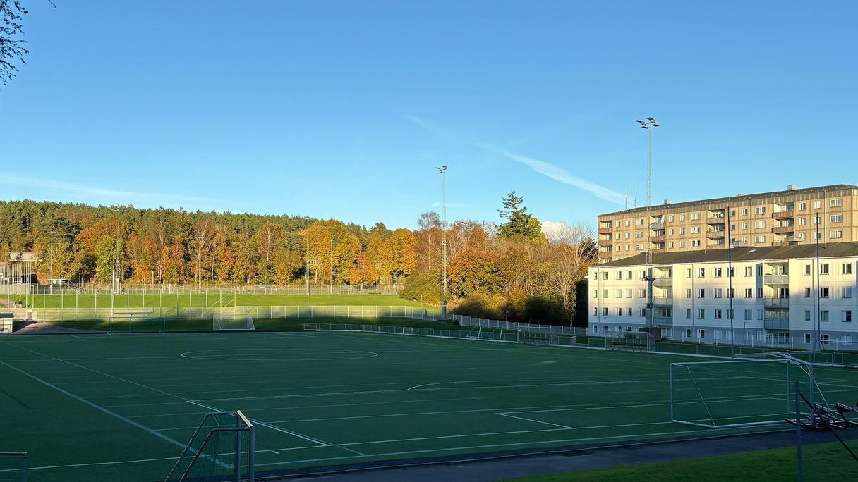 En grön fotbollsplan med byggnader i bakgrunden.