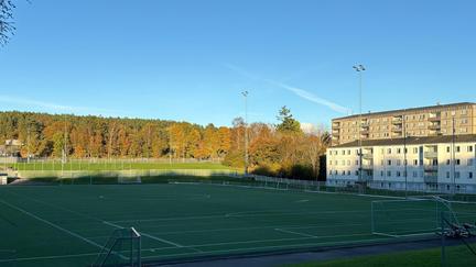 En grön fotbollsplan med byggnader i bakgrunden.