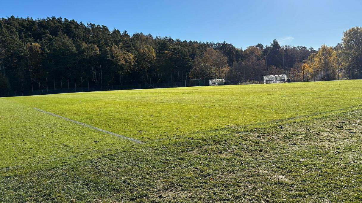 Grön bollplan under blå himmel