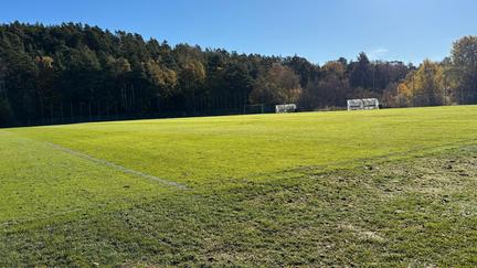 Grön bollplan under blå himmel